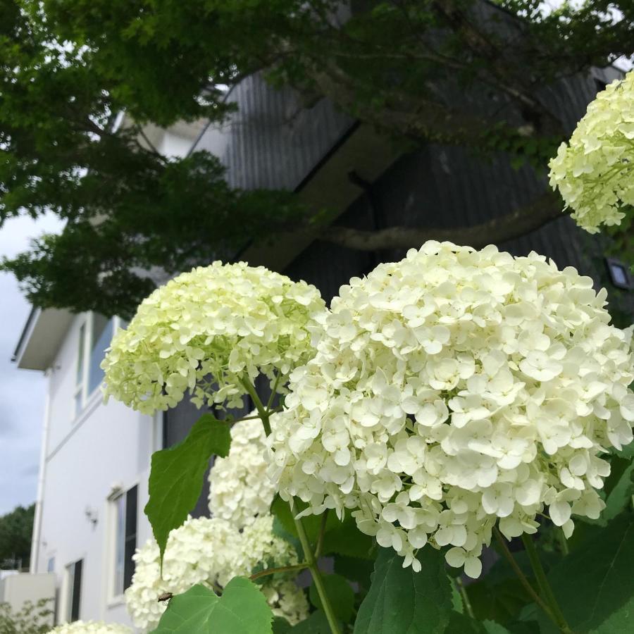 פוג'יושידה Sweet Villa Takasama מראה חיצוני תמונה